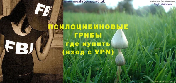 метадон Няндома