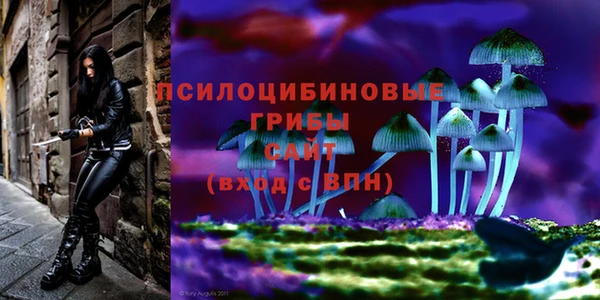 метадон Няндома
