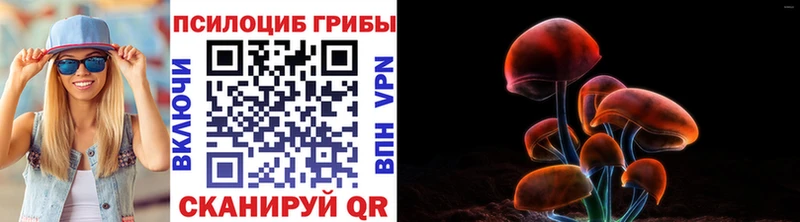 Псилоцибиновые грибы Magic Shrooms  цены   Бабушкин 